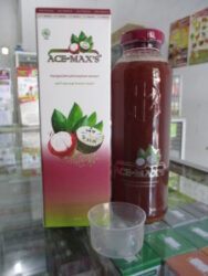 Obat Radang Panggul Herbal